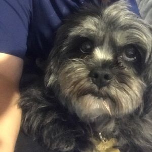 Meet your Posher, Paige